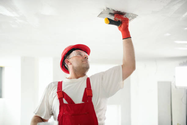 Best Residential Painting  in Newton, IA